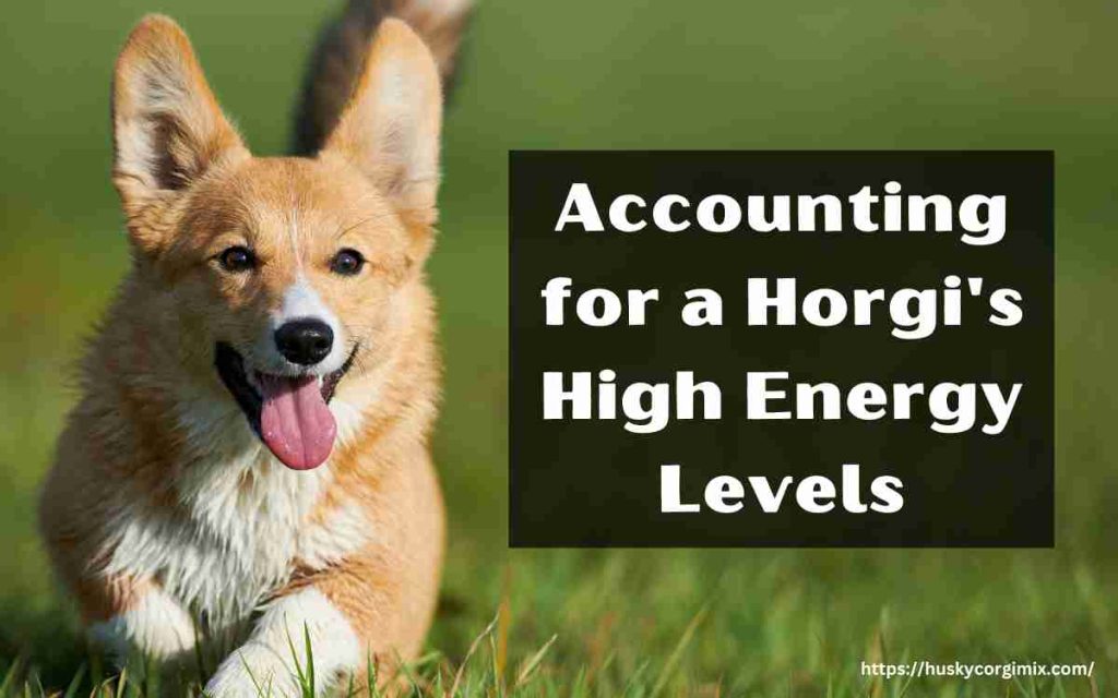 Accounting for a Horgi's High Energy Levels